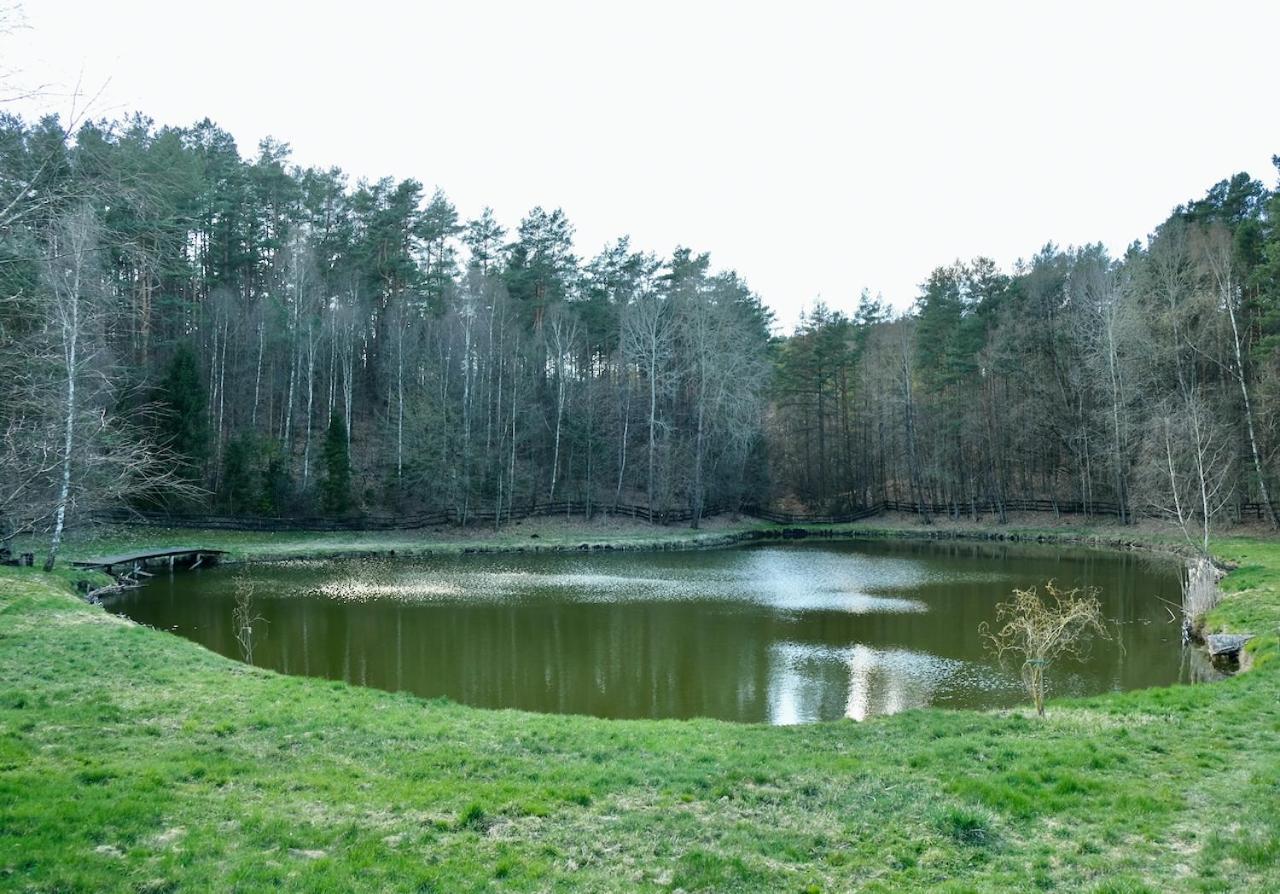 Agroturystyka Strzebielino Dış mekan fotoğraf